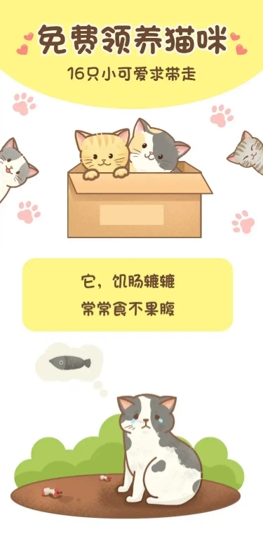 宠物领养公益活动长图条漫