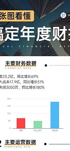简约实景一图看懂数据图表企业财报年终总结长图海报