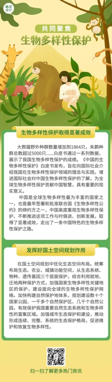 一图读懂政策发布解读手绘文章长图预览效果