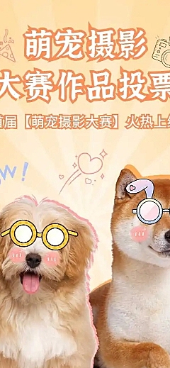 H5表单长页企业宠物摄影大赛表单投票