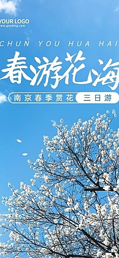 旅游出行营销宣传推广实景长图海报