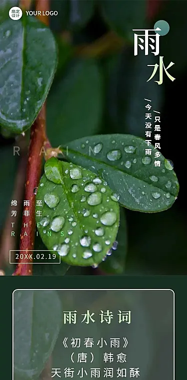 H5长页节日2022雨水节气祝福问候叶子水珠实景