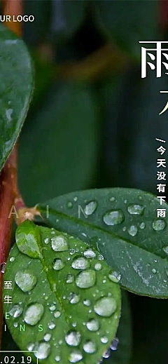 H5长页节日2022雨水节气祝福问候叶子水珠实景