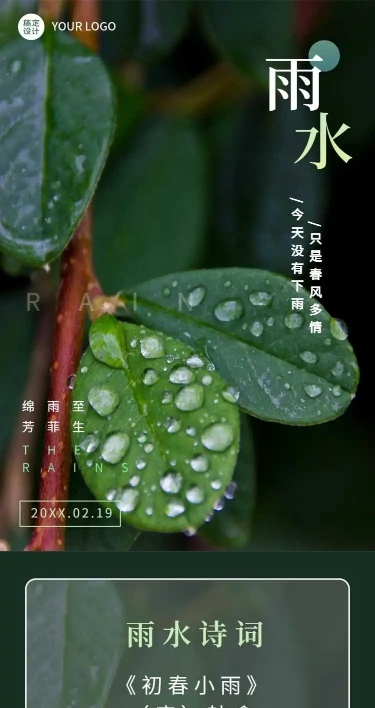 H5长页节日2022雨水节气祝福问候叶子水珠实景