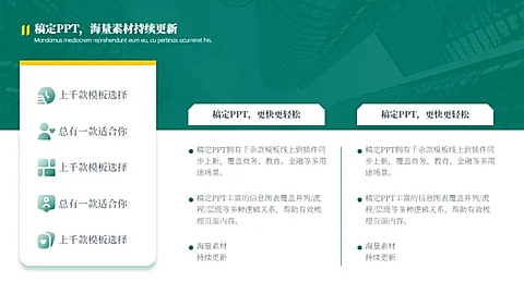 并列关系2项PPT图文页