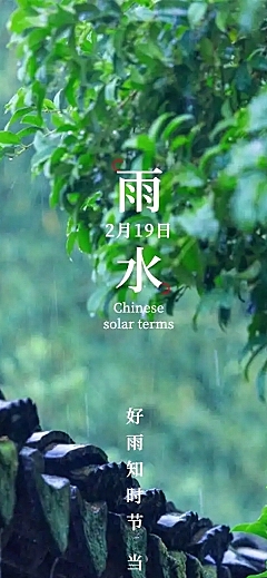 长页H5实景清新雨水节气祝福习俗科普