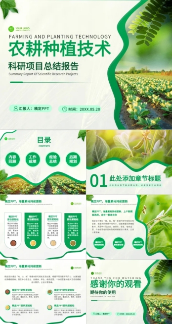 科研总结绿色简约风PPT套装预览效果