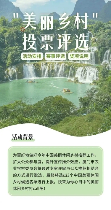 美丽乡村党政项目评比H5