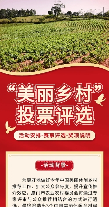 美丽乡村党政项目评比活动宣传H5