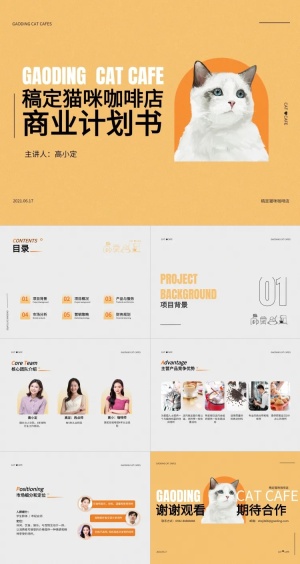 商业计划书橙色扁平简约PPT套装