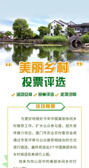 美丽乡村党政项目评比H5