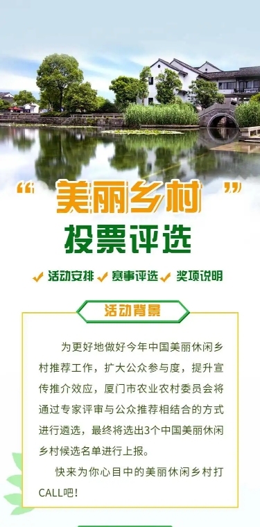 美丽乡村党政项目评比H5