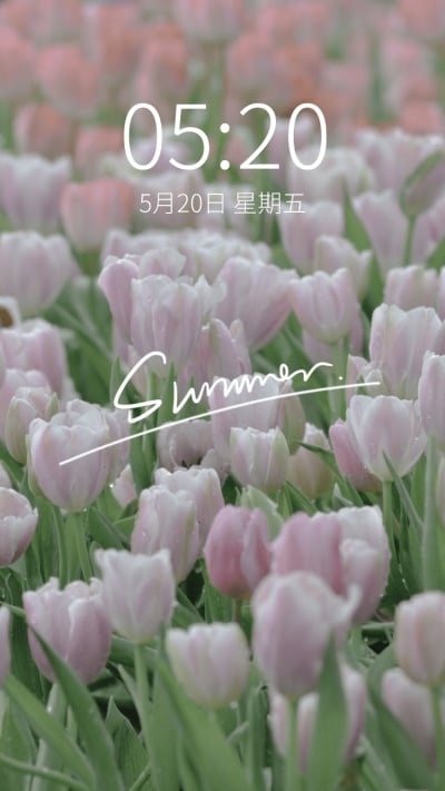 春季花系列唯美手机壁纸
