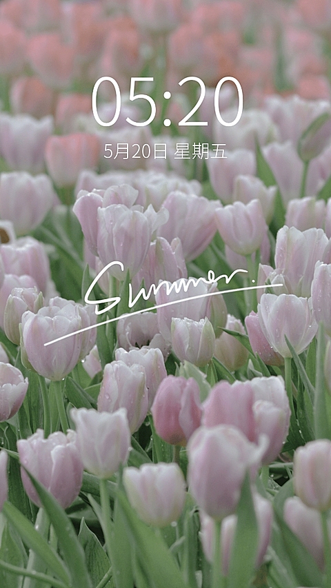 春季花系列唯美手机壁纸