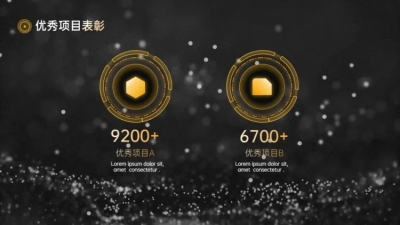 并列关系2项PPT图文页