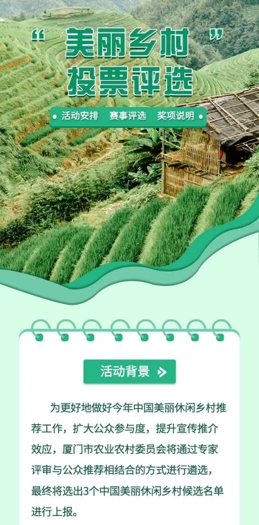 美丽乡村党政项目评比H5