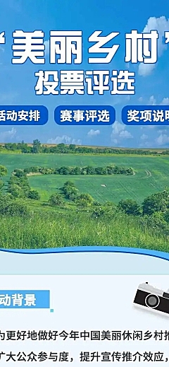 美丽乡村党政项目评比H5