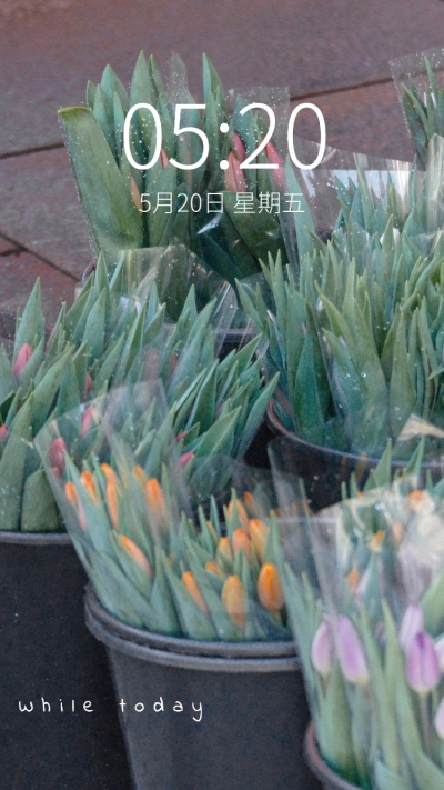 春季花系列唯美手机壁纸