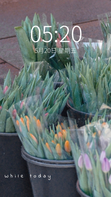 春季花系列唯美手机壁纸预览效果