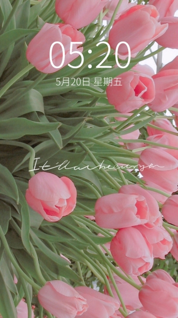 春季花系列唯美手机壁纸预览效果