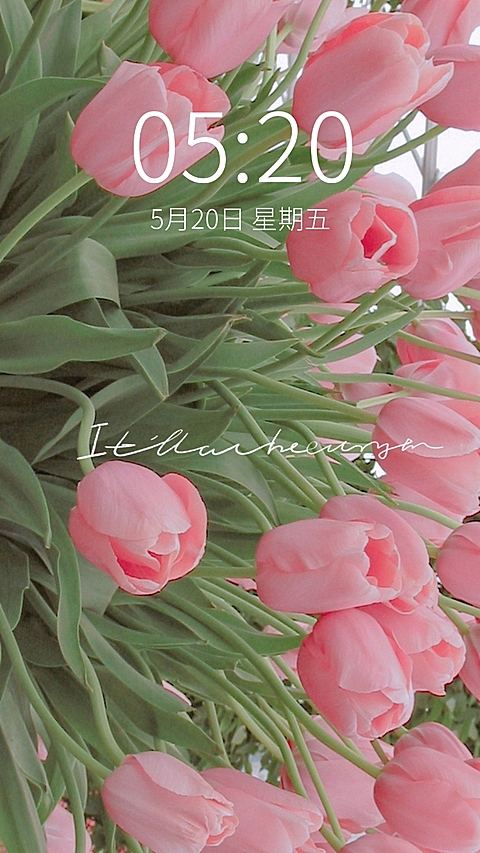 春季花系列唯美手机壁纸