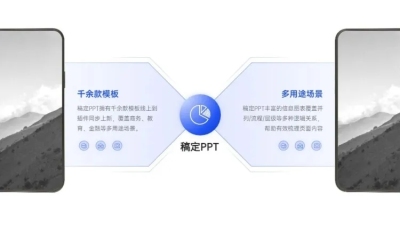 总分关系2项PPT图文页