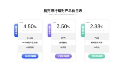 产品报价价格介绍3项PPT内容页