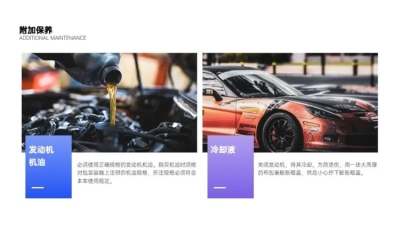 并列关系2项PPT图文页