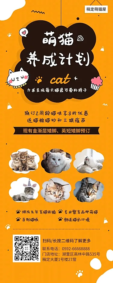 宠物萌猫养成长图海报