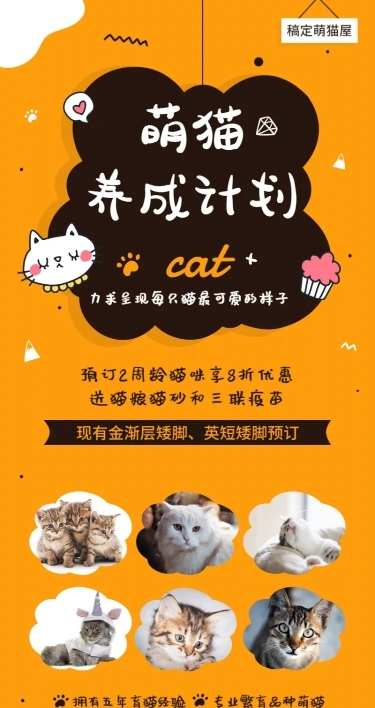 宠物萌猫养成长图海报