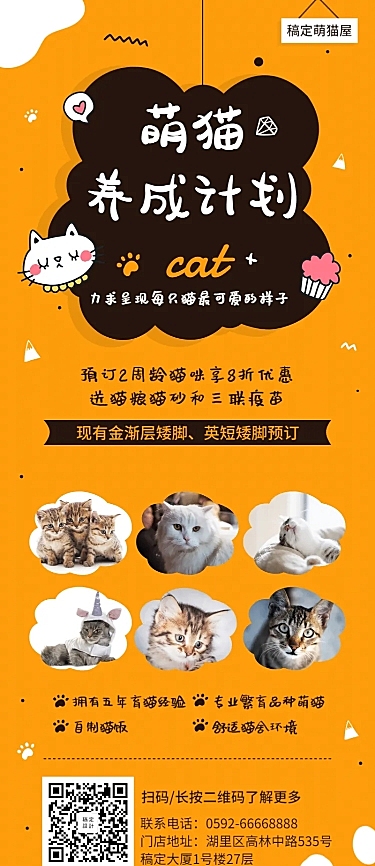 宠物萌猫养成长图海报