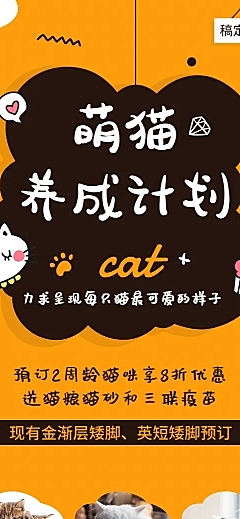 宠物萌猫养成长图海报