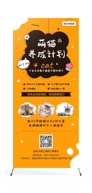 宠物萌猫养成展架预览效果