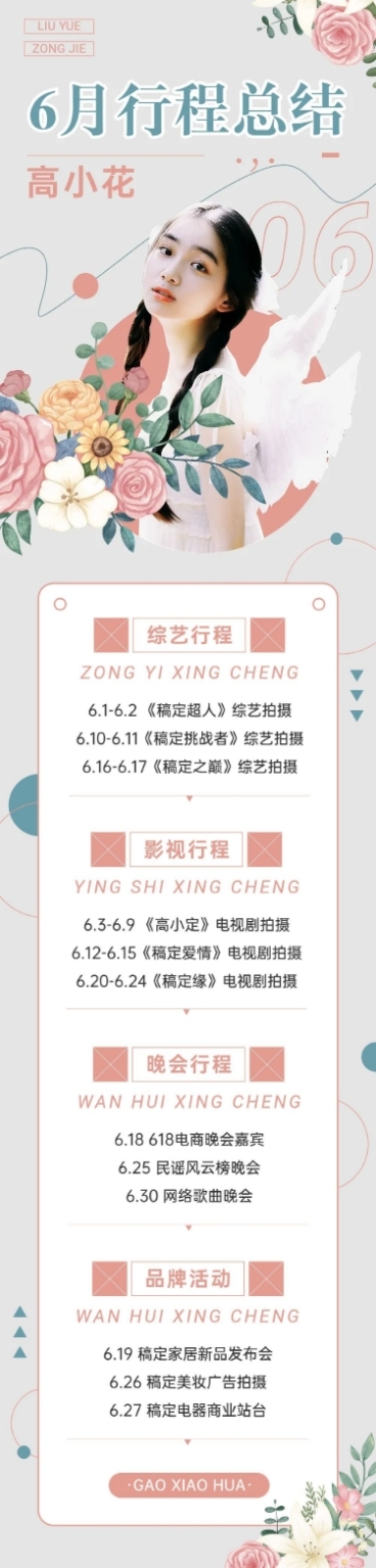 简约风明星应援行程总结长图预览效果