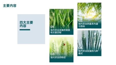 并列关系4项PPT图文页