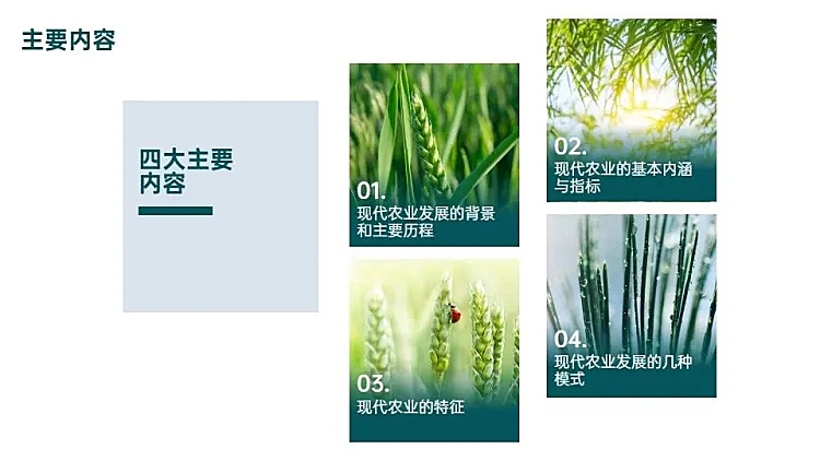 并列关系4项PPT图文页