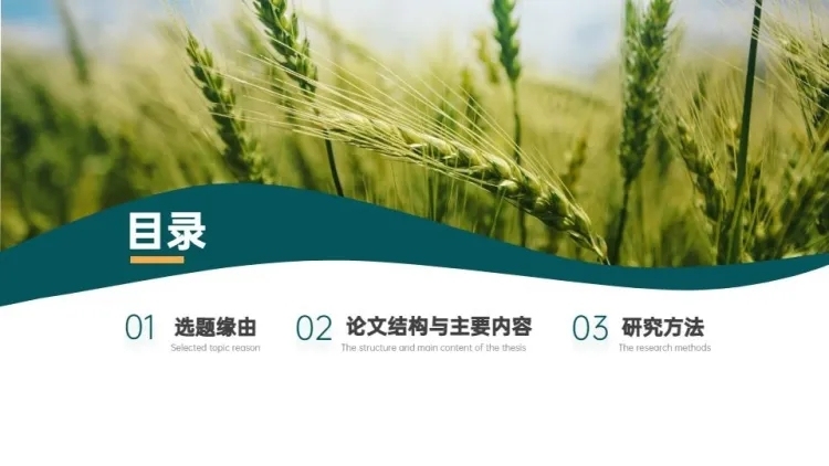 并列关系3项PPT图文页预览效果