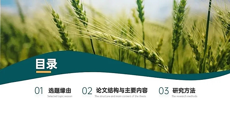 并列关系3项PPT图文页