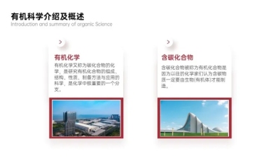 并列关系2项PPT图文页