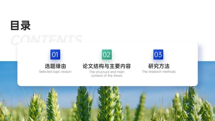 并列关系3项PPT图文页预览效果