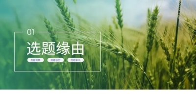 并列关系1项PPT图文页