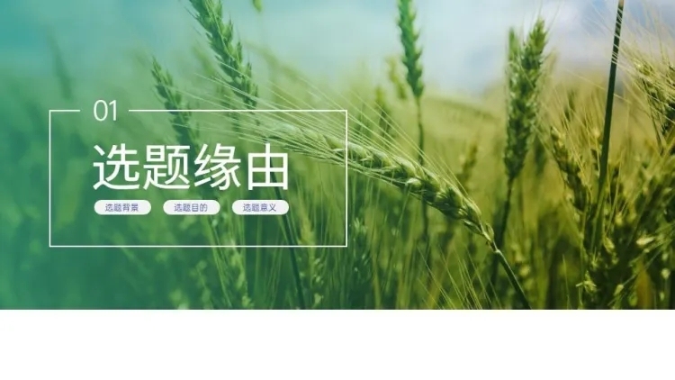 并列关系1项PPT图文页预览效果