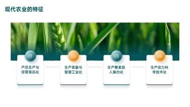 并列关系4项PPT图文页