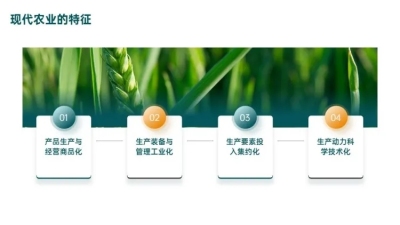 并列关系4项PPT图文页