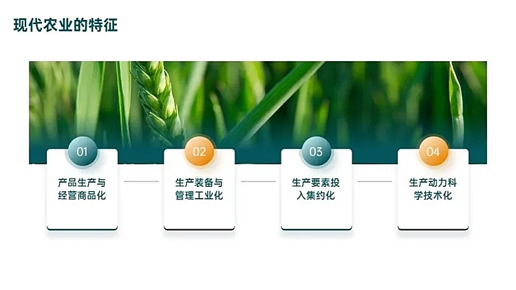 并列关系4项PPT图文页