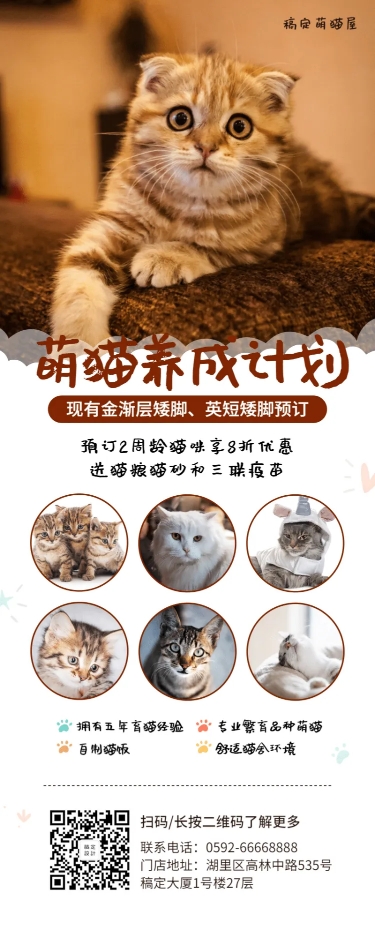 猫舍宠物简约产品推广长图海报预览效果
