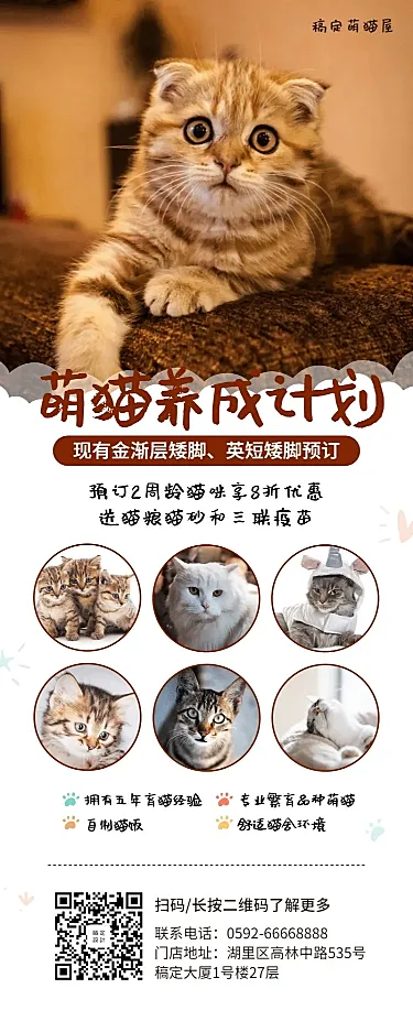 猫舍宠物简约产品推广长图海报