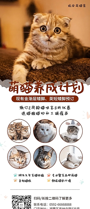 猫舍宠物简约产品推广长图海报