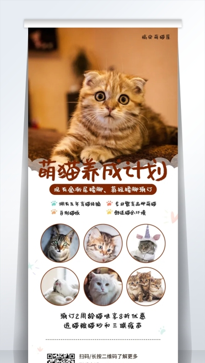 宠物简约可爱打折促销易拉宝