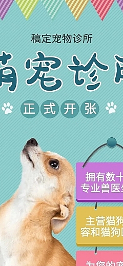 宠物可爱新店开业长图海报